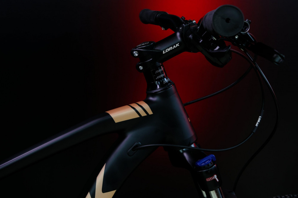 LORAK Sel 9300 Матовый Черный/Коричневый 18р (на рост 163-179)