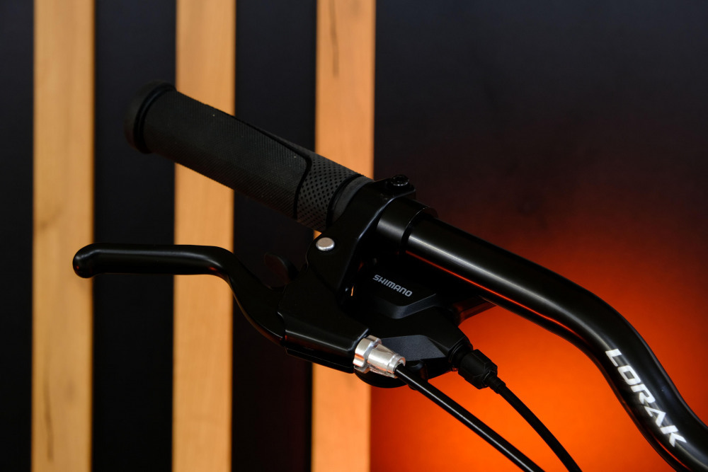 LORAK GLORY 9 Золотисто Серый рама 15 (на рост 141-160)